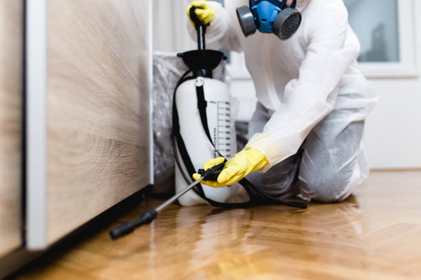 Best Pest Inspection Near Me  in Agua Dulce, CA
