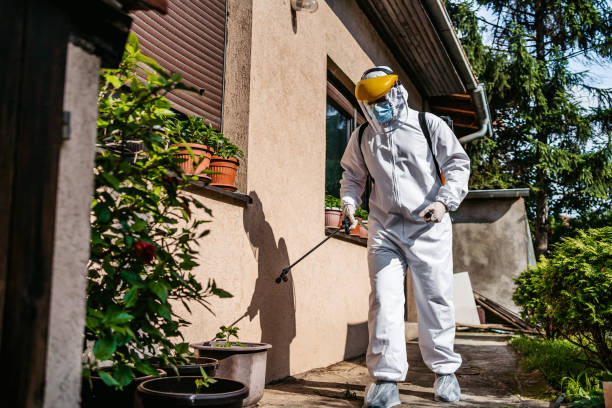 Best Best Pest Control Companies  in Agua Dulce, CA