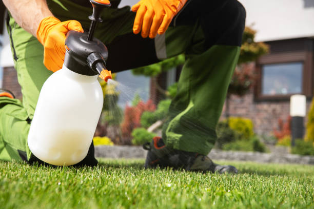 Best Pest Control Near Me  in Agua Dulce, CA