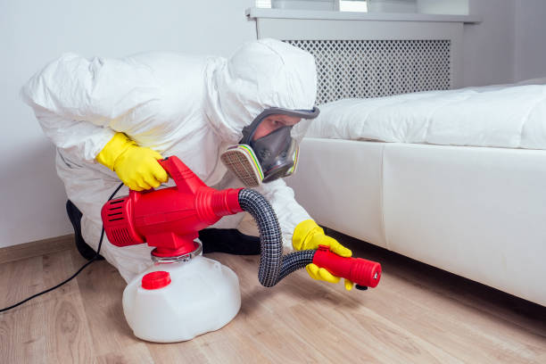 Best Residential Pest Control  in Agua Dulce, CA