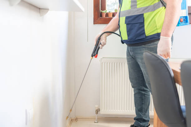 Best Wasp Removal Services  in Agua Dulce, CA