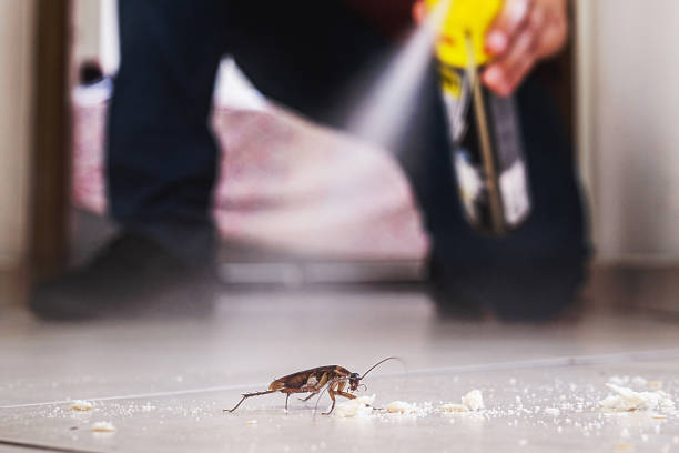 Best Pest Prevention Services  in Agua Dulce, CA