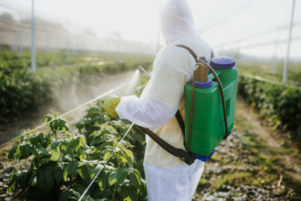  Agua Dulce, CA Pest Control Pros